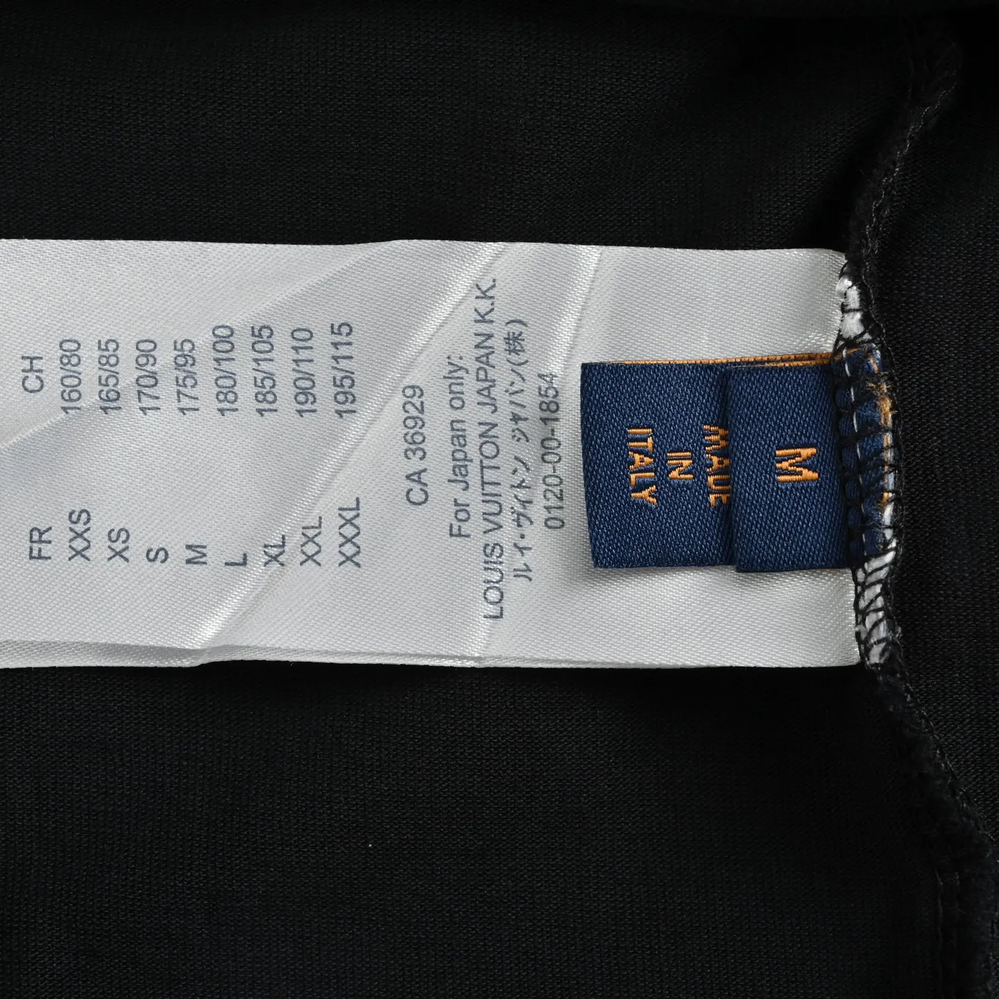 Louis Vuitton/ 26ss logo